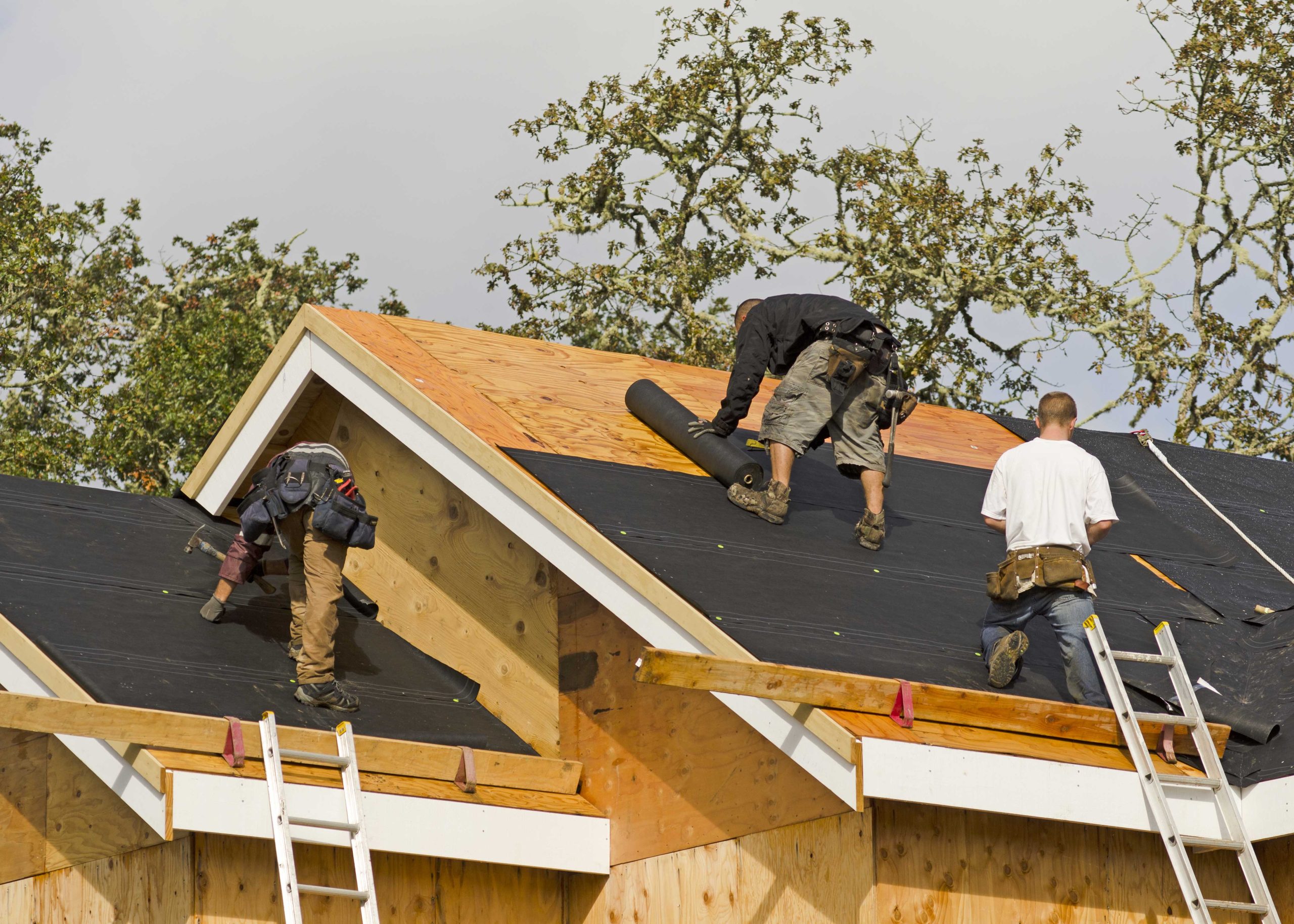 Professional roofers in Springdale